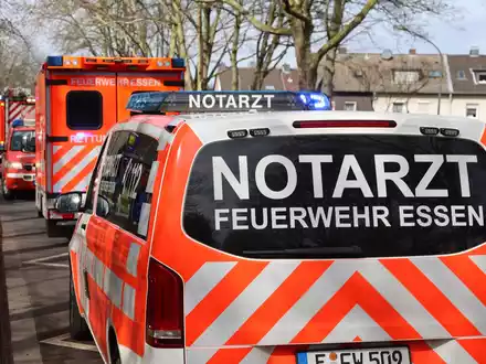 FW-E: Mehrere Fälle von Hautreaktionen nach Kontakt mit Bärenklau bei einem Laufevent - Foto: presseportal.de