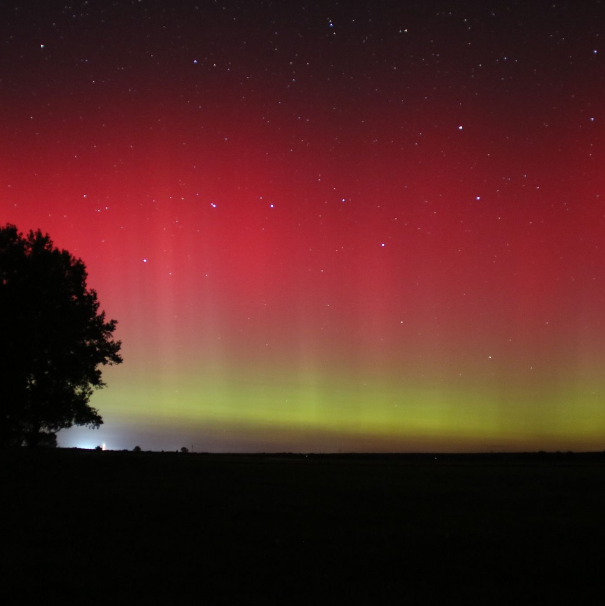 Schwarz, rot, gold? Polarlichter in Fischbeck in Sachsen-Anhalt erinnern an die Deutschlandflagge. - Foto: Cevin Dettlaff/dpa