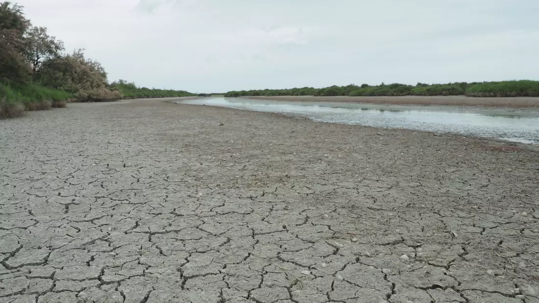 Die anhaltende Trockenheit hinterlässt ihre Spuren - in Frankreich wird das Wasser knapp. - Bild: Rachel Boßmeyer/dpa