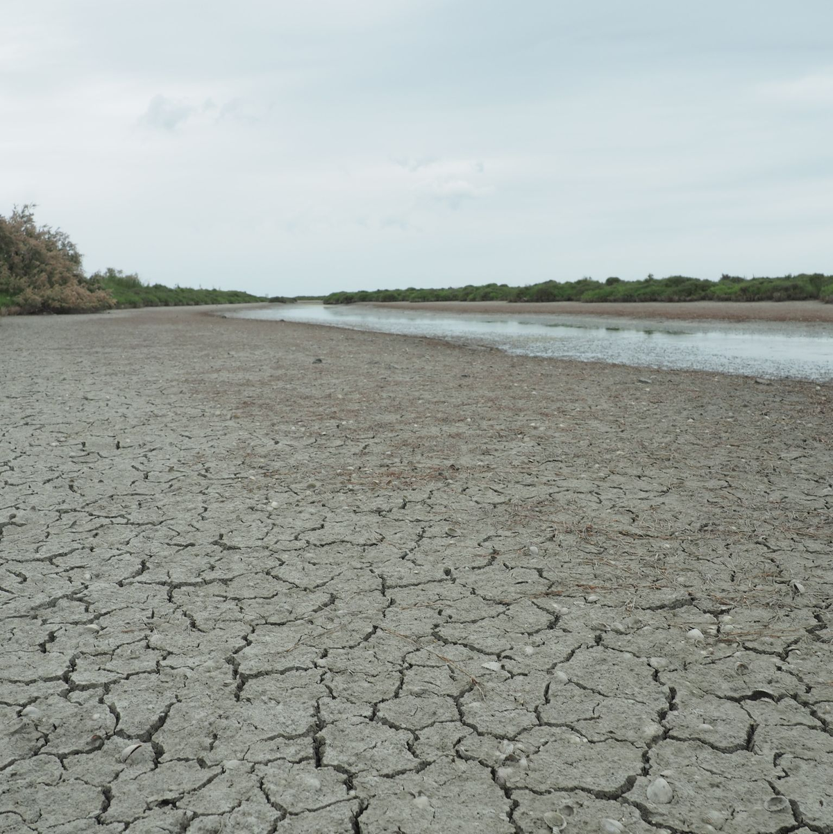 Die anhaltende Trockenheit hinterlässt ihre Spuren - in Frankreich wird das Wasser knapp. - Foto: Rachel Boßmeyer/dpa