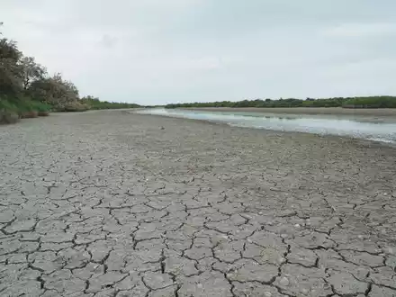 Die anhaltende Trockenheit hinterlässt ihre Spuren - in Frankreich wird das Wasser knapp. - Foto: Rachel Boßmeyer/dpa