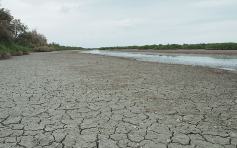 Die anhaltende Trockenheit hinterlässt ihre Spuren - in Frankreich wird das Wasser knapp. - Foto: Rachel Boßmeyer/dpa