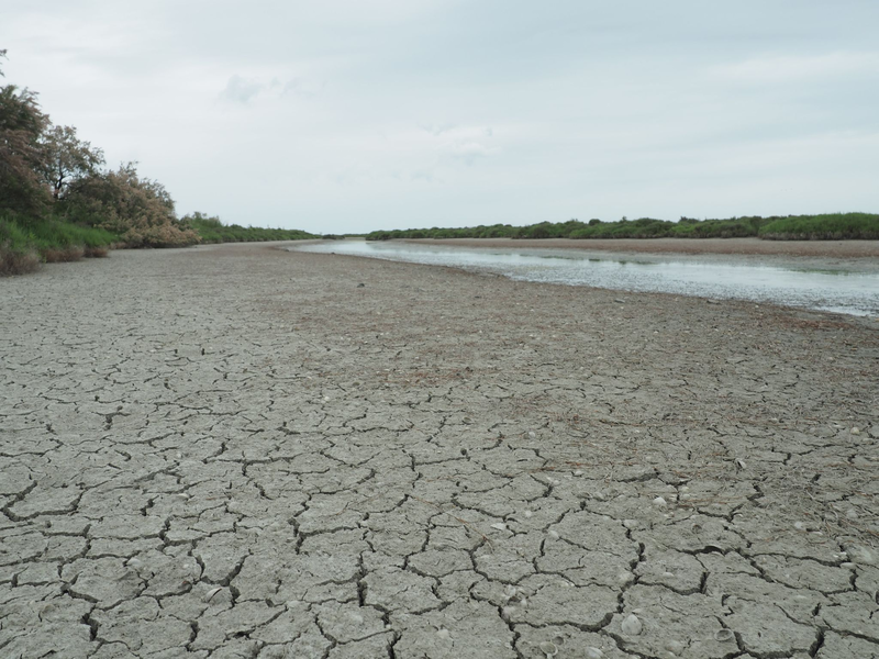 Die anhaltende Trockenheit hinterlässt ihre Spuren - in Frankreich wird das Wasser knapp. - Foto: Rachel Boßmeyer/dpa