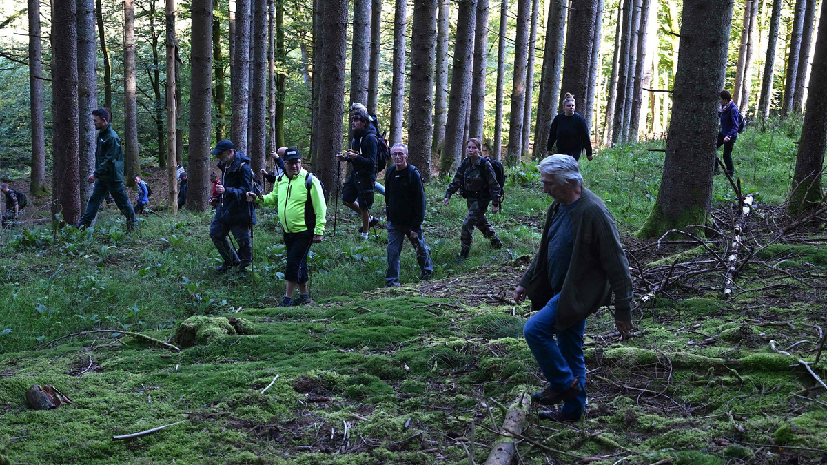 Die Suchaktion in und um Saint-Blaise-la-Roche unter Anleitung der Polizei und von Forstbeamten. - Foto: Patrick Hertzog/AFP/dpa