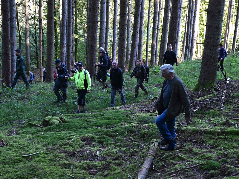 Die Suchaktion in und um Saint-Blaise-la-Roche unter Anleitung der Polizei und von Forstbeamten. - Foto: Patrick Hertzog/AFP/dpa