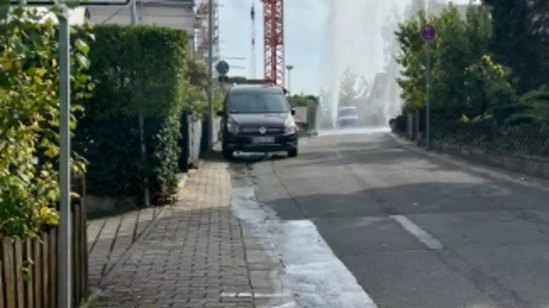 POL-PPWP: Wasserhydrant überfahren - Bild: presseportal.de