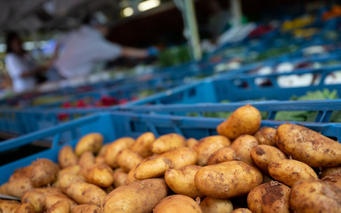 Bürgerinnen und Bürger sollen Vorschläge zur Politik rund ums Essen machen. - Foto: Sven Hoppe/dpa