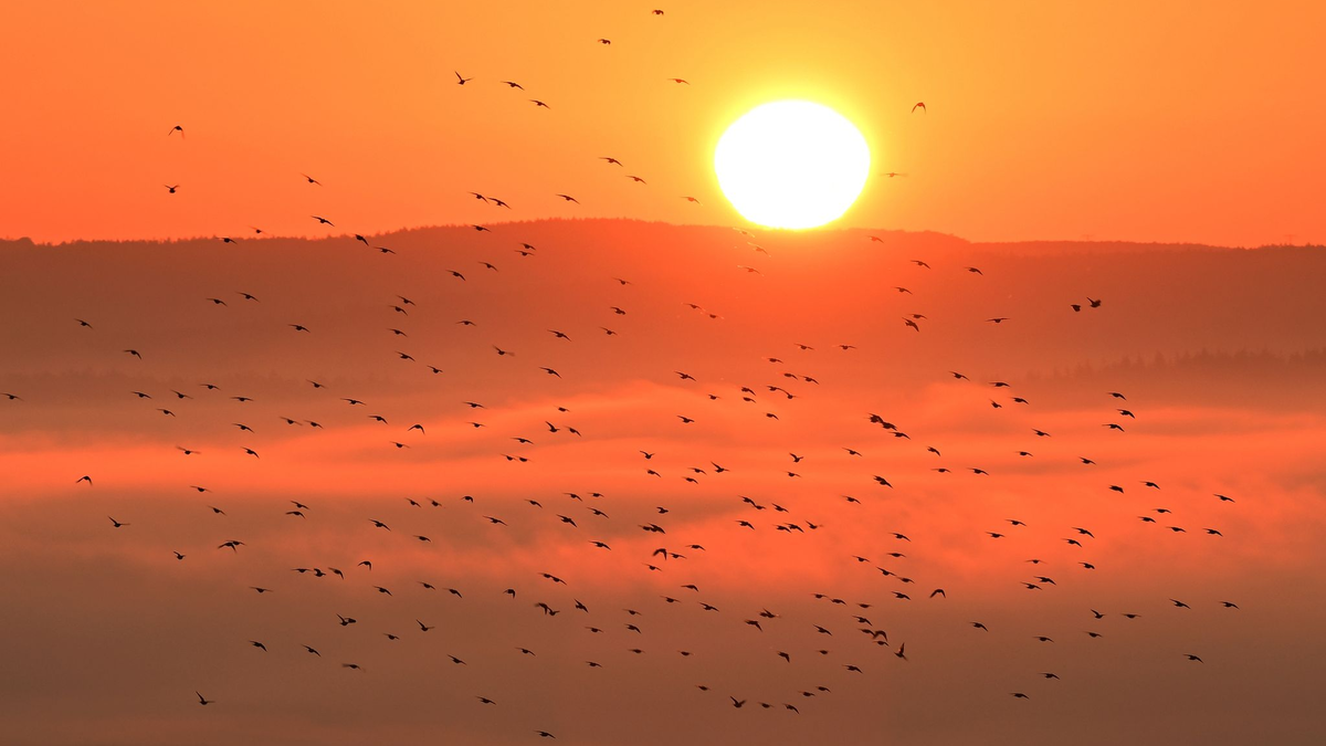 Der September 2023 war laut vorläufiger DWD-Bilanz auch der zweitsonnigste seit Beginn der Aufzeichnungen. - Foto: Martin Schutt/dpa