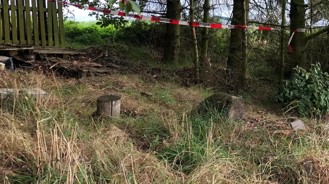 Flatterband ist nahe dem Fundort bei Bad Emstal zu sehen. - Bild: Nicole Schippers/dpa