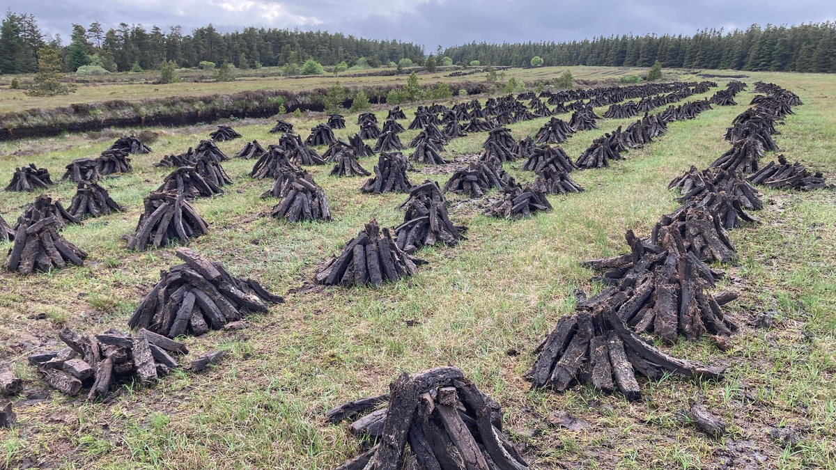 In Pyramiden gestapelter Torf wartet auf den Abtransport. Irland stellt sich um, aber noch immer sind Zehntausende Haushalte im Land auf die Torf-Barren angewiesen. - Foto: Domhnall Farline/dpa