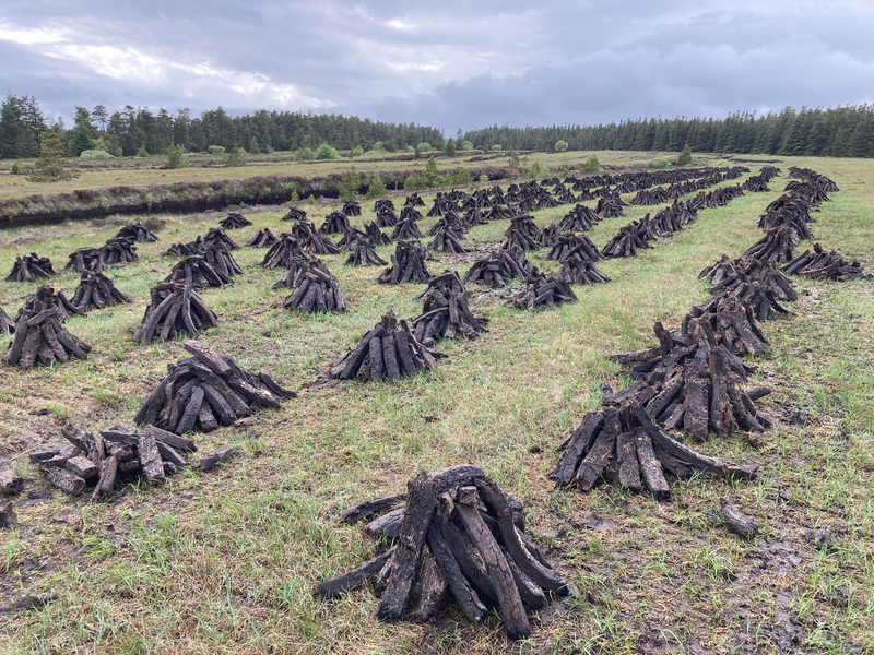 In Pyramiden gestapelter Torf wartet auf den Abtransport. Irland stellt sich um, aber noch immer sind Zehntausende Haushalte im Land auf die Torf-Barren angewiesen. - Foto: Domhnall Farline/dpa