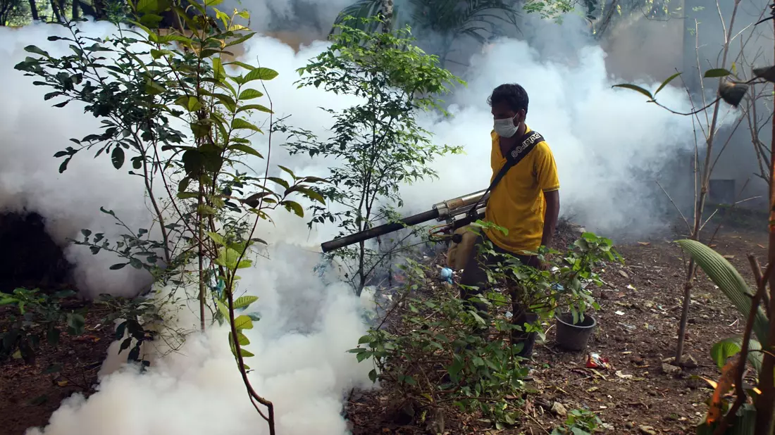 Aufgrund der vielen Dengue-Fieber-Fälle werden in den Straßen von Bangladesch Mittel versprüht, um die Aedes-Stechmücken zu töten. - Bild: Md Akbar Ali/ZUMA Press Wire/dpa