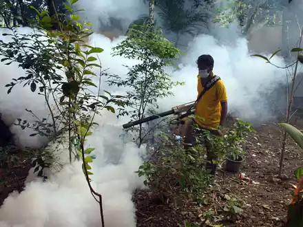 Aufgrund der vielen Dengue-Fieber-Fälle werden in den Straßen von Bangladesch Mittel versprüht, um die Aedes-Stechmücken zu töten. - Foto: Md Akbar Ali/ZUMA Press Wire/dpa