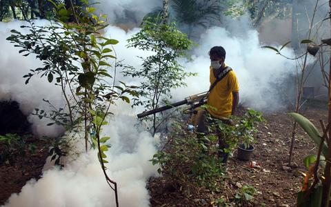 Aufgrund der vielen Dengue-Fieber-Fälle werden in den Straßen von Bangladesch Mittel versprüht, um die Aedes-Stechmücken zu töten. - Foto: Md Akbar Ali/ZUMA Press Wire/dpa