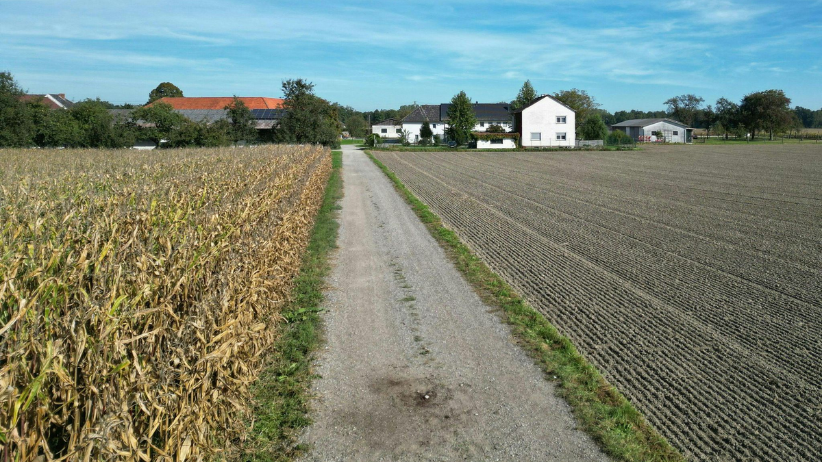 Ein Feldweg in Naarn. - Foto: Fotokerschi.At/Taras Panchuk/APA/dpa