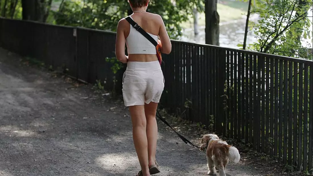 Frau geht Gassi (Archiv) - Bild: ?ber dts Nachrichtenagentur