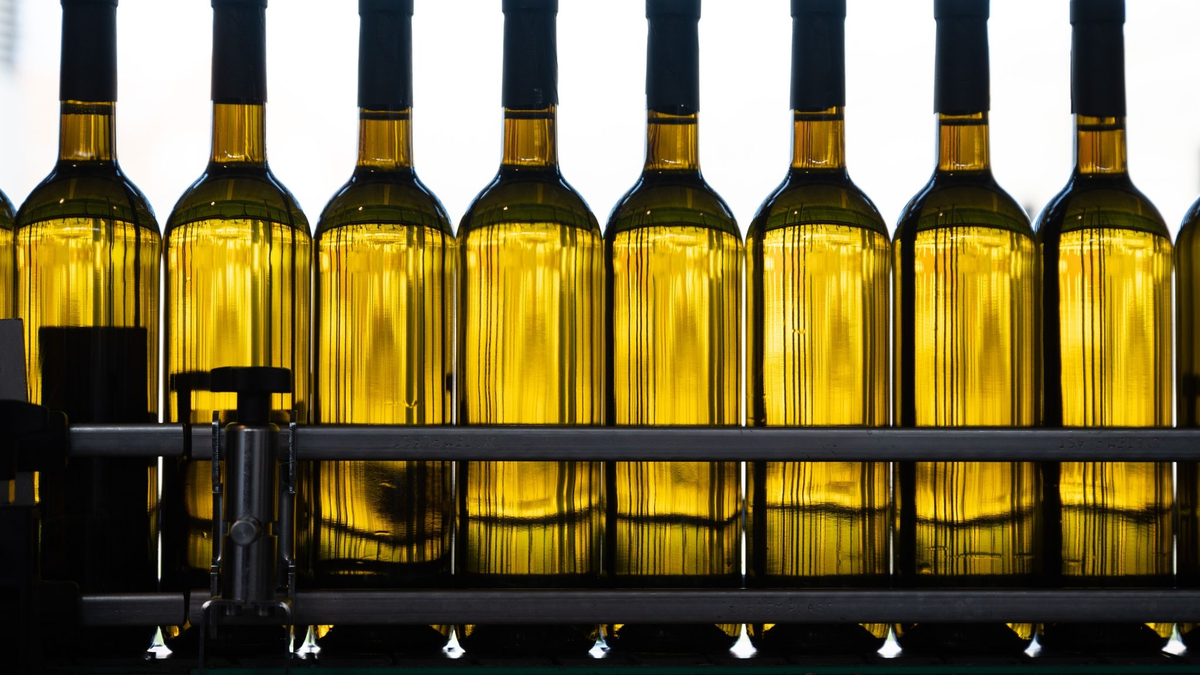 Was wie genau nach der Etikettenverordnung angegeben werden muss, ist für Winzer wichtig. - Foto: Sebastian Kahnert/dpa-Zentralbild/dpa