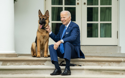 US-Präsident Joe Biden und sein Deutscher Schäferhund «Commander». - Foto: President Joe Biden/APA Images via ZUMA Press Wire/dpa US-Präsident Joe Biden und sein Deutscher Schäferhund «Commander». - Foto: President Joe Biden/APA Images via ZUMA Press Wire/dpa
