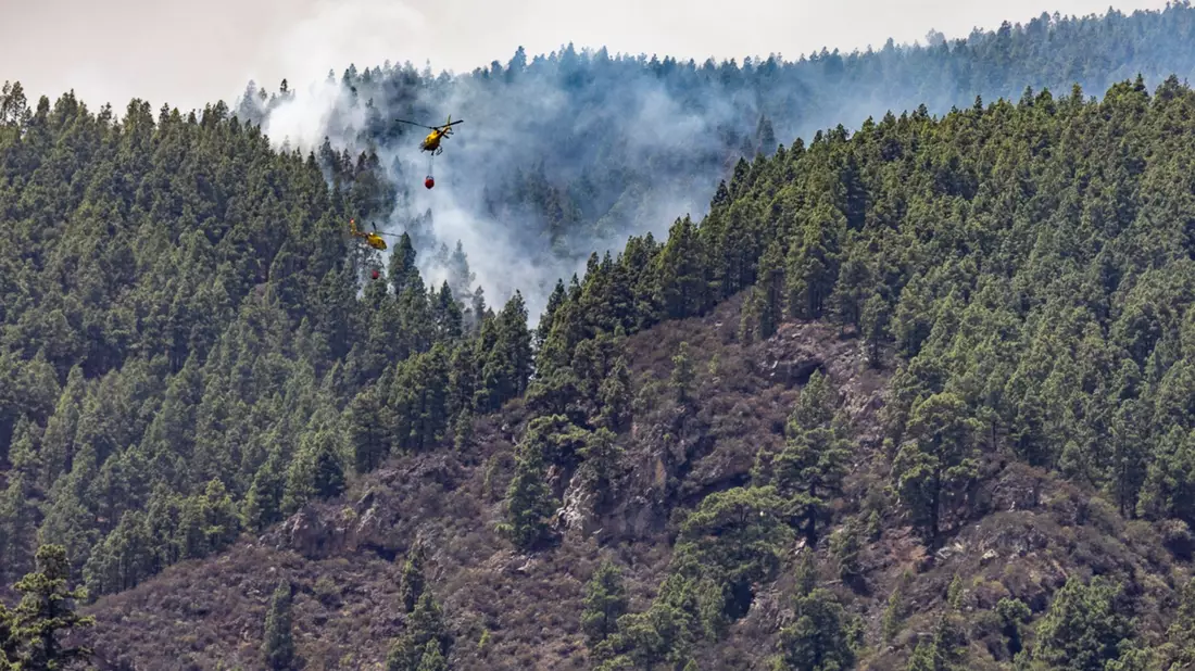 Erst im August hatte es einen verheerenden Waldbrand auf der spanischen Urlaubsinsel gegeben. Wie auf dem Bild zu sehen, waren auch Löschhubschrauber im Einsatz. (Archivbild) - Bild: Europa Press/EUROPA PRESS/dpa