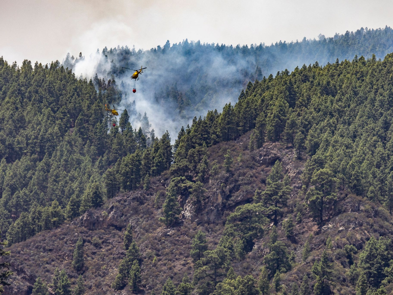 Erst im August hatte es einen verheerenden Waldbrand auf der spanischen Urlaubsinsel gegeben. Wie auf dem Bild zu sehen, waren auch Löschhubschrauber im Einsatz. (Archivbild) - Foto: Europa Press/EUROPA PRESS/dpa