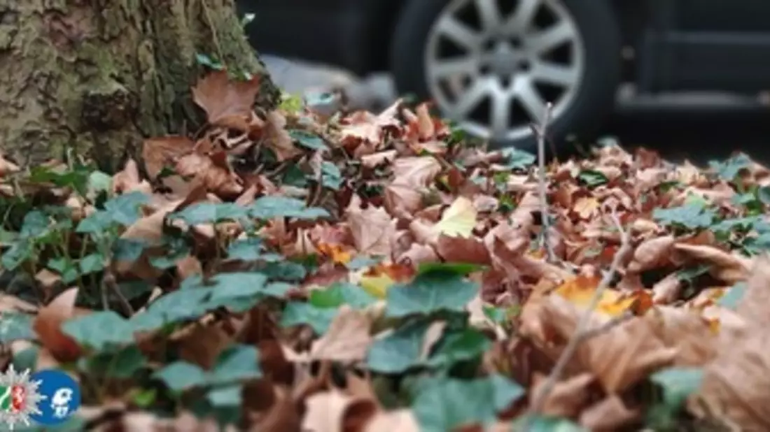 POL-BN: Sicher durch Herbst und Winter - Jetzt auf Winterreifen umrüsten - Achtung neue Regelung tritt in Kraft! - Bild: presseportal.de