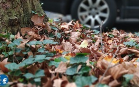 POL-BN: Sicher durch Herbst und Winter - Jetzt auf Winterreifen umrüsten - Achtung neue Regelung tritt in Kraft! - Foto: presseportal.de POL-BN: Sicher durch Herbst und Winter - Jetzt auf Winterreifen umrüsten - Achtung neue Regelung tritt in Kraft! - Foto: presseportal.de