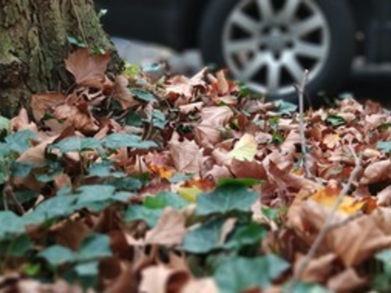 POL-BN: Sicher durch Herbst und Winter - Jetzt auf Winterreifen umrüsten - Achtung neue Regelung tritt in Kraft! - Foto: presseportal.de