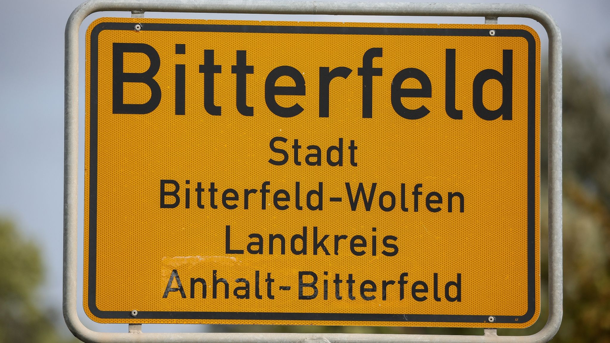 Am Sonntag entscheidet sich in der 37.000-Einwohner-Stadt in Sachsen-Anhalt, ob der CDU-Amtsinhaber Armin Schenk weitermacht oder ob er vom AfD-Politiker Henning Dornack abgelöst wird. - Foto: Jan Woitas/dpa