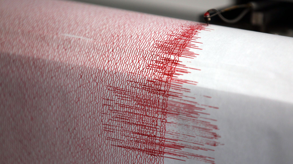 Ein Seismograph verzeichnet Erdbebenwerte (Symbolbild). - Foto: Oliver Berg/dpa