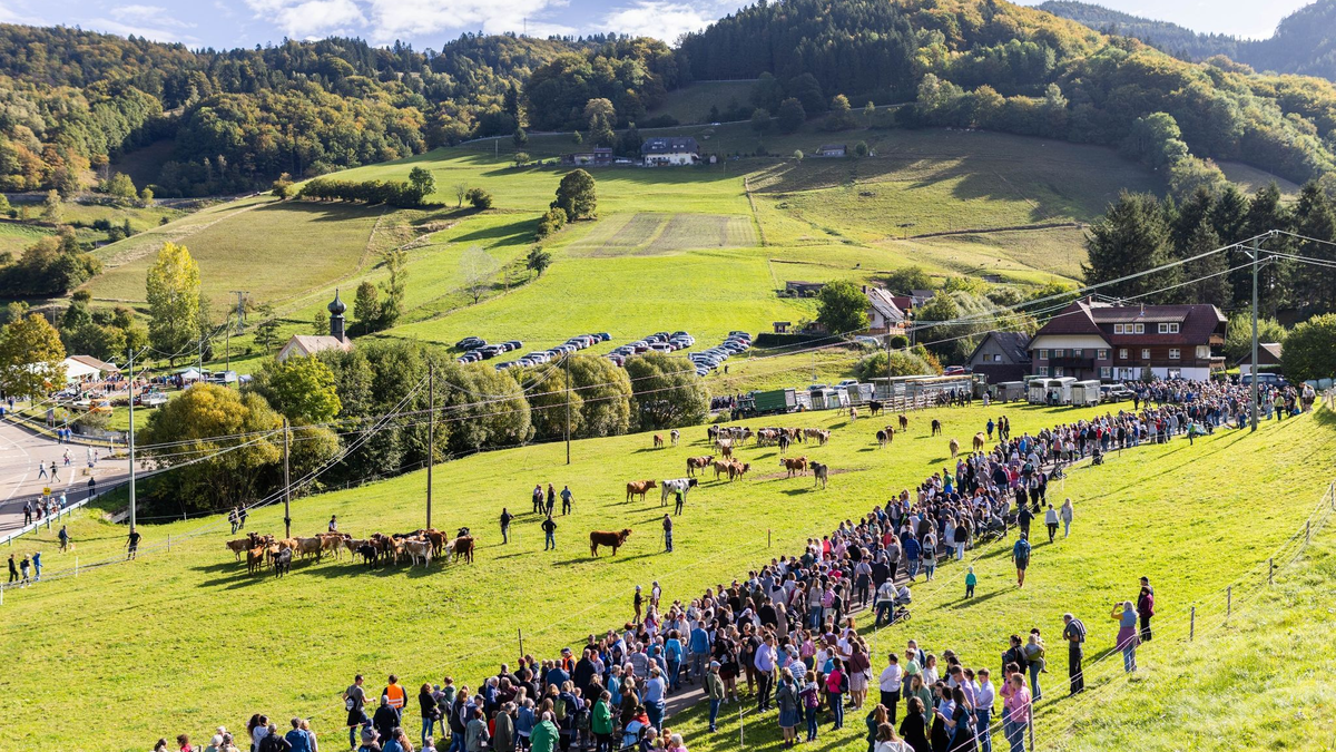 Für die Tiere gab es sogar Blumenkränze. - Foto: Philipp von Ditfurth/dpa