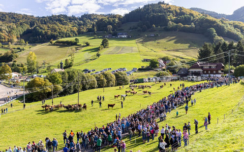 Für die Tiere gab es sogar Blumenkränze. - Foto: Philipp von Ditfurth/dpa