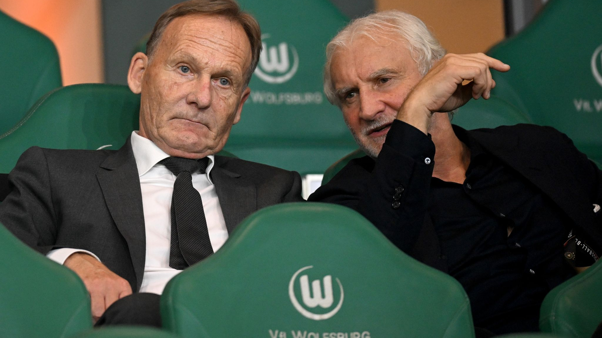DFB-Vize Hans-Joachim Watzke (l) und DFB-Sportdirektor Rudi Völler auf der Tribüne. Watzke äußerte sich zur USA-Reise und zur EM. - Foto: Julian Stratenschulte/dpa