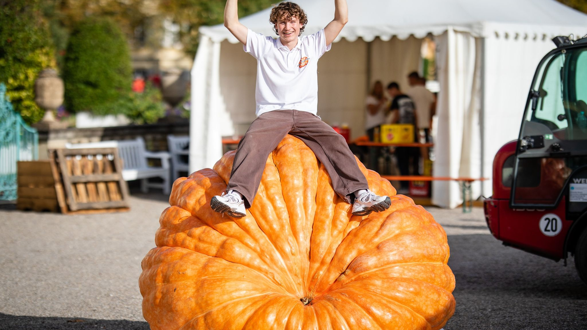 Luca Stöckl ist der neue Europameister. - Foto: Christoph Schmidt/dpa
