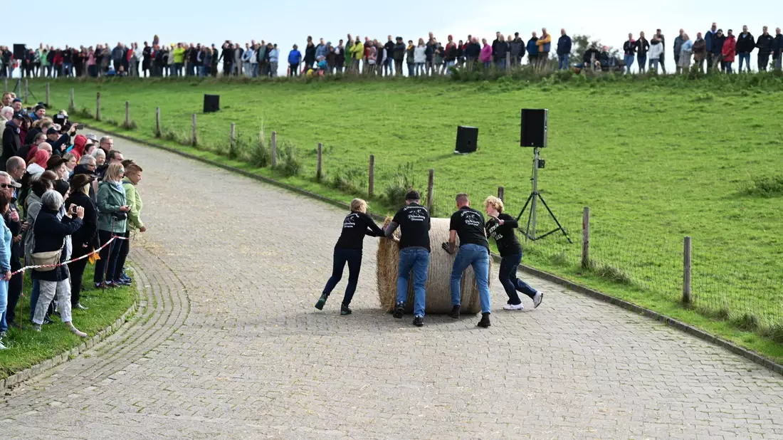 Rund 300 Kilo ist solch ein Strohballen schwer. - Bild: Lars Penning/dpa