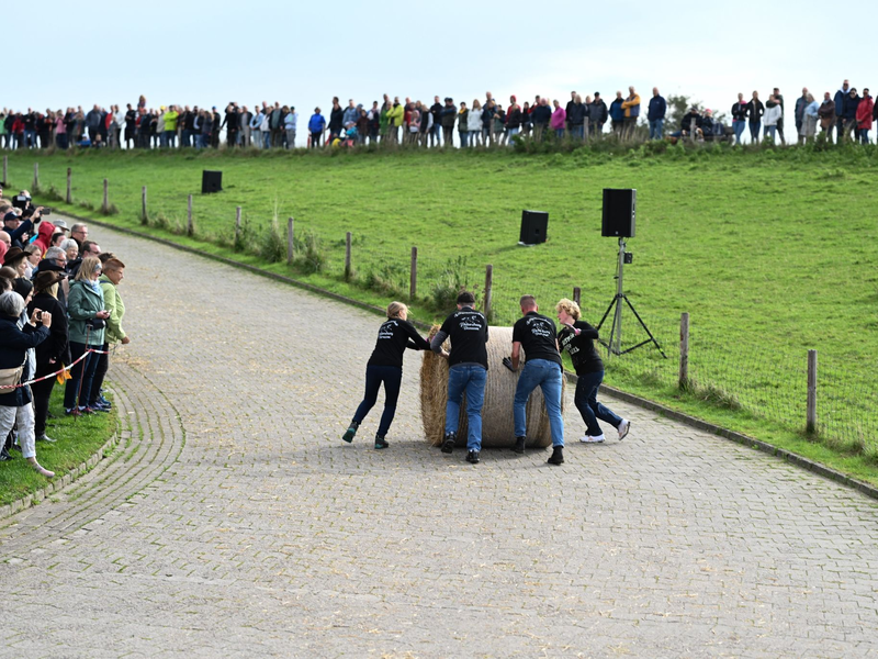 Rund 300 Kilo ist solch ein Strohballen schwer. - Foto: Lars Penning/dpa