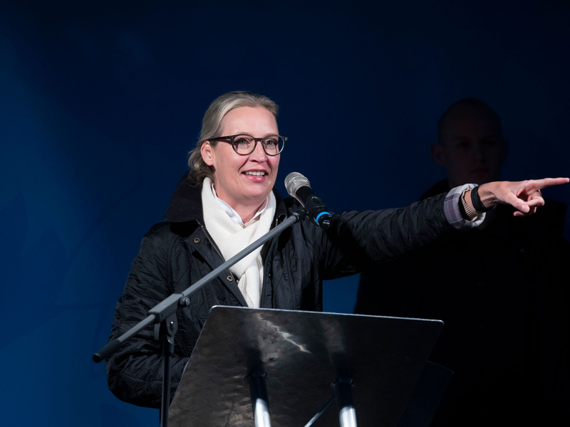 AfD-Bundesvorsitzende Alice Weidel musste zuletzt in Sicherheit gebracht werden. - Foto: Helmut Fricke/dpa