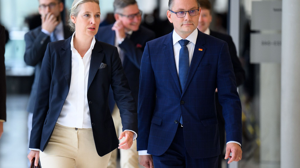 Alice Weidel und Tino Chrupalla wurden als Fraktionsvorsitzende bestätigt. - Foto: Bernd von Jutrczenka/dpa