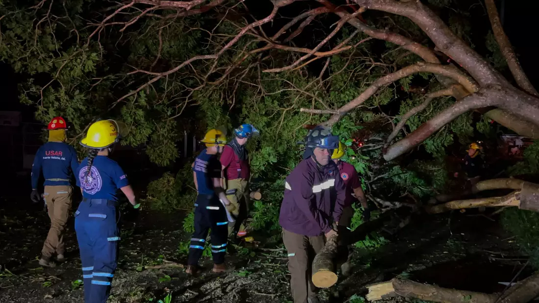Feuerwehrleute in Mexiko entfernen Bäume, die auf einer Straße liegen. - Bild: Valentin Gonzalez/AP/dpa