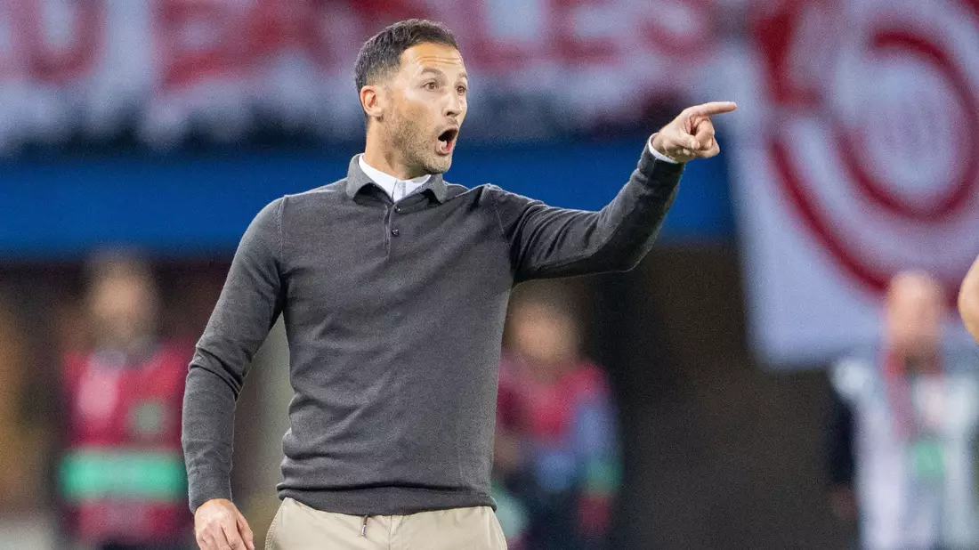 Trainer Domenico Tedesco löste mit Belgien das EM-Ticket. - Bild: Georg Hochmuth/APA/dpa