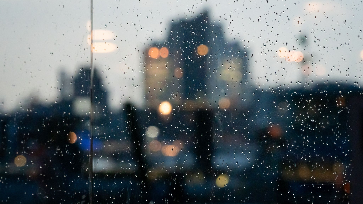 Die Elbphilharmonie in Hamburg hinter der Scheibe einer Bushaltestelle mit Regentropfen. - Foto: Jonas Walzberg/dpa
