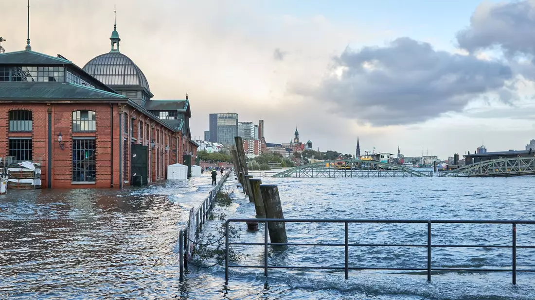 Der Hambuger Fischmarkt mit der Fischauktionshalle steht teilweise unter Wasser. - Bild: Georg Wendt/dpa