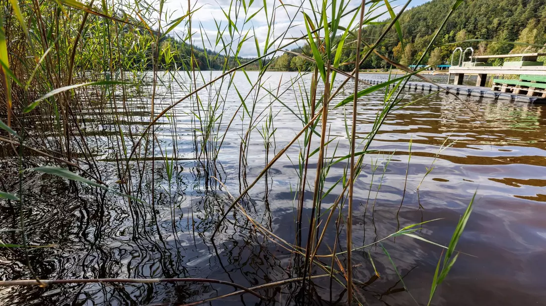 Blick von der Paddlergilde Kaiserslautern auf den See Gelterswoog bei Hohenecken, einem Ortsteil von Kaiserslautern in der Pfalz. - Bild: View/Reiner Voß/dpa