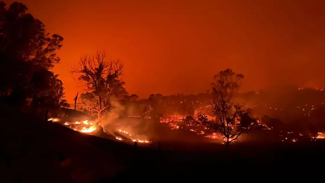 Das Buschfeuer nahe Kempsey nordöstlich von Sydney. - Bild: -/WOOLGOOLA FIRE AND RESCUE/AAP/dpa