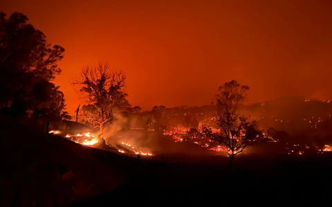 Das Buschfeuer nahe Kempsey nordöstlich von Sydney. - Foto: -/WOOLGOOLA FIRE AND RESCUE/AAP/dpa