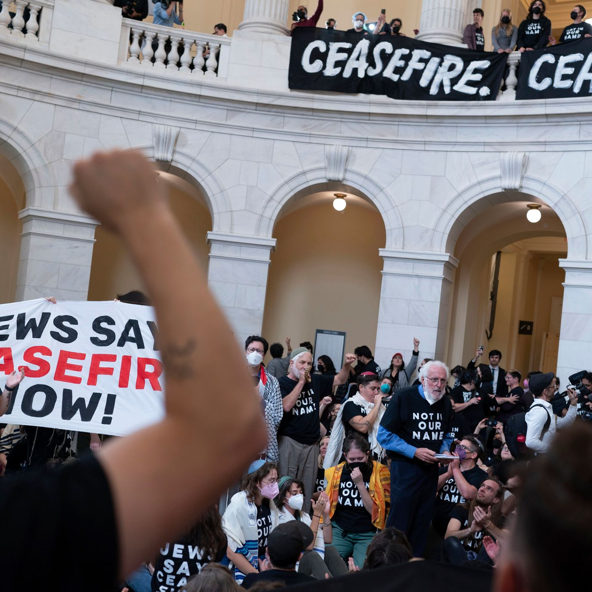 Demonstranten protestieren im Cannon House Office Building auf dem Capitol Hill. - Foto: Jose Luis Magana/AP/dpa