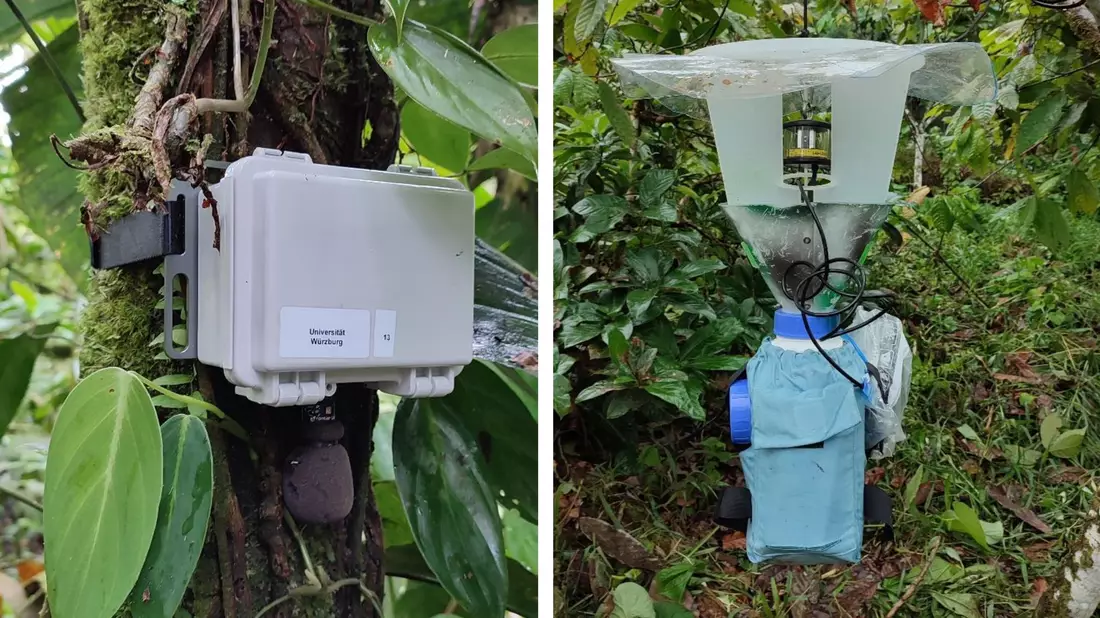 Soundrekorder (l) und automatische Lichtfalle zur Erfassung von Tierstimmen und Nachtinsekten. - Bild: Annika Busse/Springer Nature/dpa