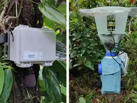Soundrekorder (l) und automatische Lichtfalle zur Erfassung von Tierstimmen und Nachtinsekten. - Foto: Annika Busse/Springer Nature/dpa