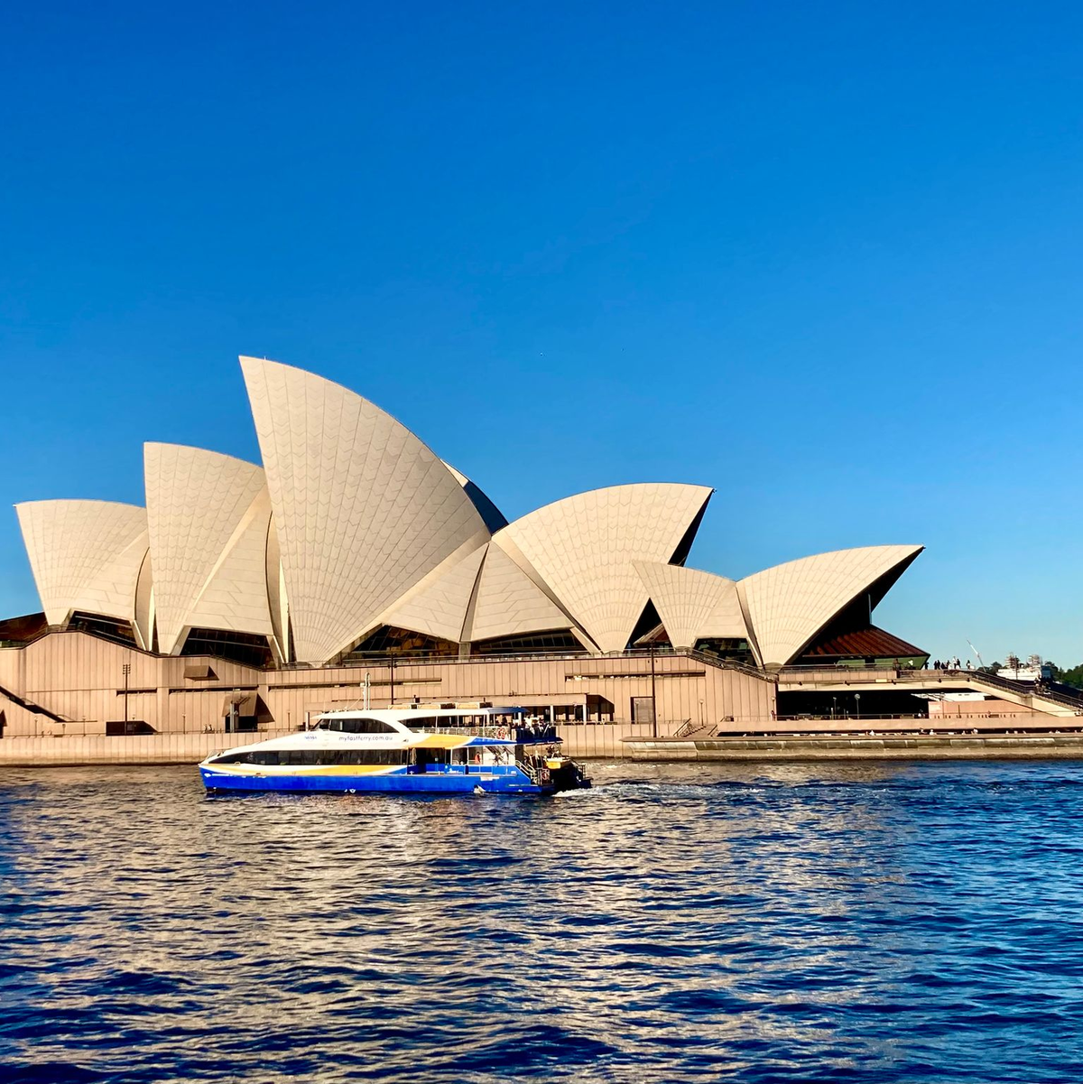 Das Sydney Opera House wurde von dem dänischen Architekten Jørn Utzon (1918-2008) entworfen. - Foto: Carola Frentzen/dpa