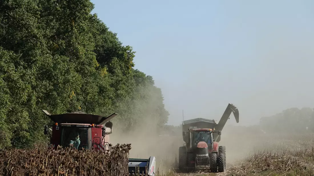 Ein Mähdrescher und ein Traktor der deutschen Agrarfirma UIFK Agro in der Ukraine bei der Sonnenblumenernte. - Bild: Friedemann Kohler/dpa