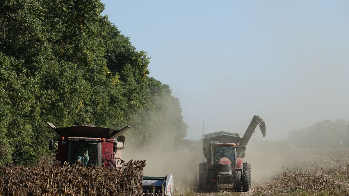 Ein Mähdrescher und ein Traktor der deutschen Agrarfirma UIFK Agro in der Ukraine bei der Sonnenblumenernte. - Foto: Friedemann Kohler/dpa
